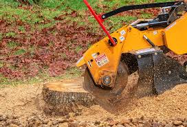 Best Stump Grinding and Removal  in Culloden, WV